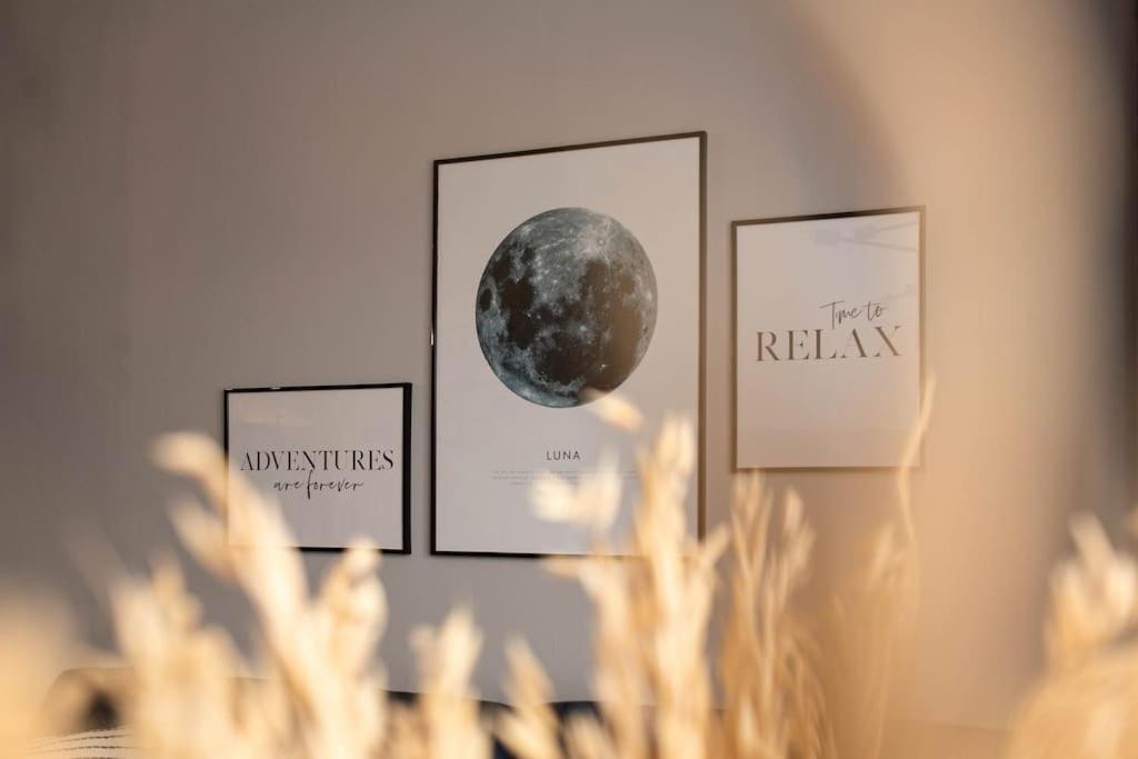 Blue Moon. Cozy Apartment Near Iulius Mall Cluj-Napoca Eksteriør billede