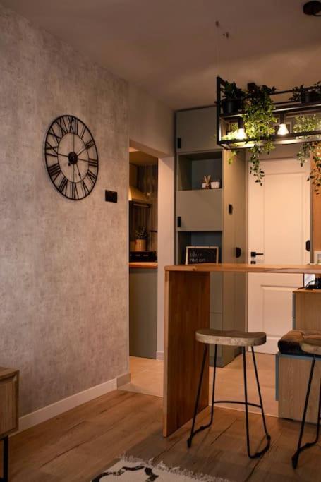 Blue Moon. Cozy Apartment Near Iulius Mall Cluj-Napoca Eksteriør billede