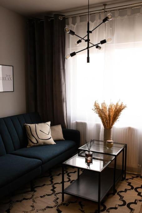 Blue Moon. Cozy Apartment Near Iulius Mall Cluj-Napoca Eksteriør billede